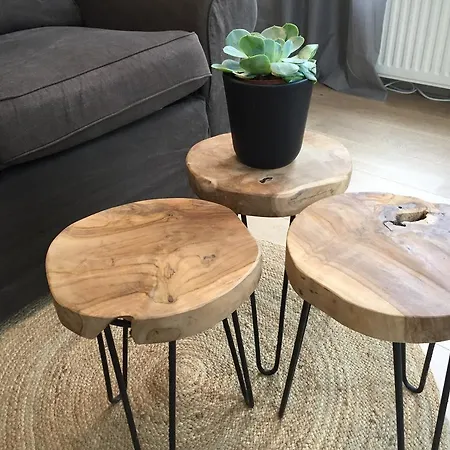 Appartement Musis