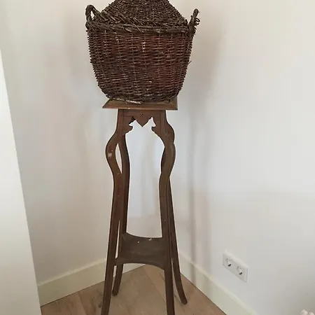 Musis ארנהיים